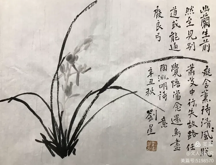《怎样画兰》//望山楼兰花谱（之一）